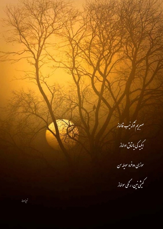 - بایاتی - سوزی  دوغرو سویله سن کیشی نین، رنگی سولماز